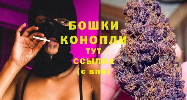 PSILOCYBIN Вязьма
