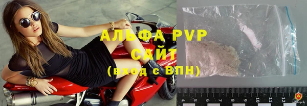 PSILOCYBIN Вязьма