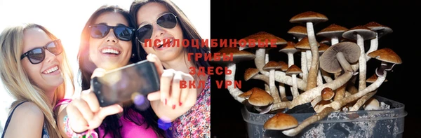 меф Вяземский