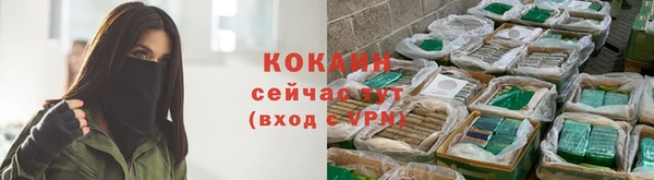 меф Вяземский