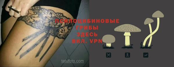 PSILOCYBIN Вязьма