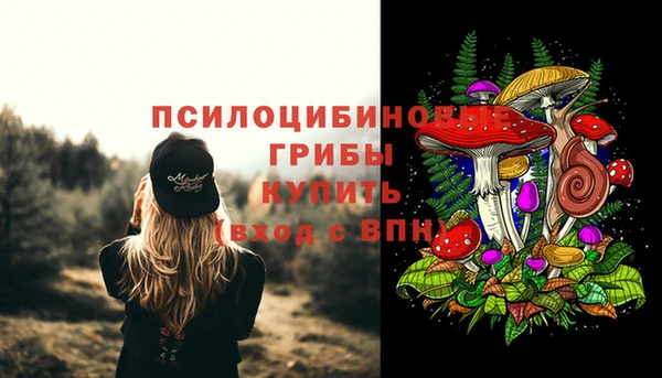 меф Вяземский