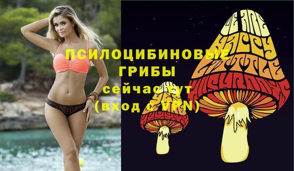 PSILOCYBIN Вязьма