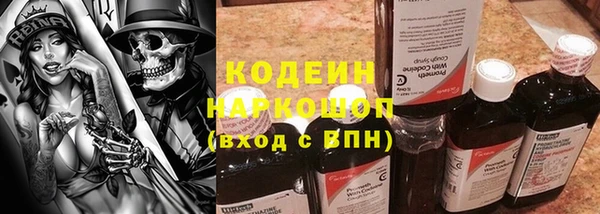 меф Вяземский