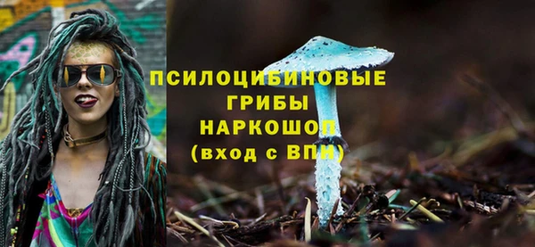 меф Вяземский