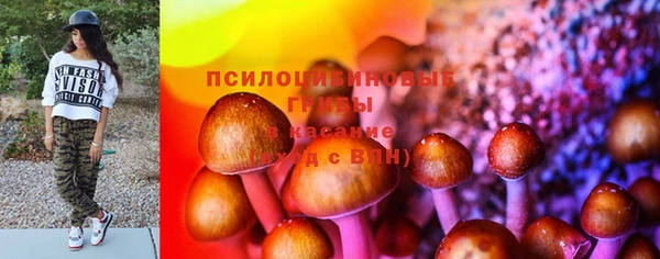 меф Вяземский