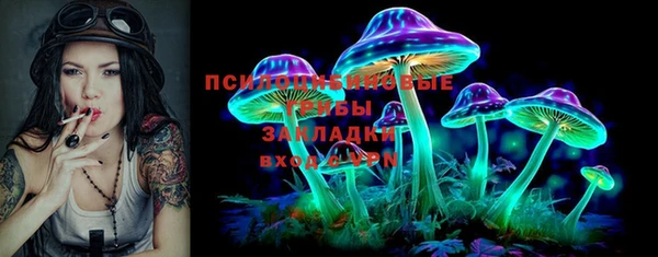 меф Вяземский