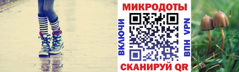 Псилоцибиновые грибы Psilocybine cubensis  купить наркотики цена  Мариинск 